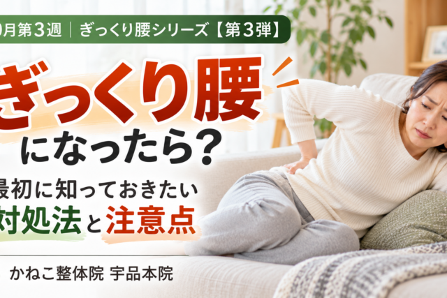 ぎっくり腰 対処法 ｜突然の腰痛で困った時の初期対応と注意点｜広島市南区 かねこ整体院 宇品本院