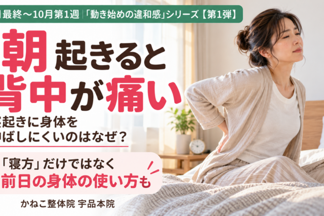 朝 起きると背中が痛い ｜寝起きの背中のこわばりと背骨・胸郭・呼吸の関係｜広島市南区 かねこ整体院 宇品本院