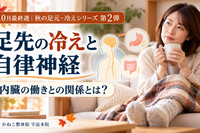 足先の冷えを気にする女性と自律神経による体温調節のイメージ