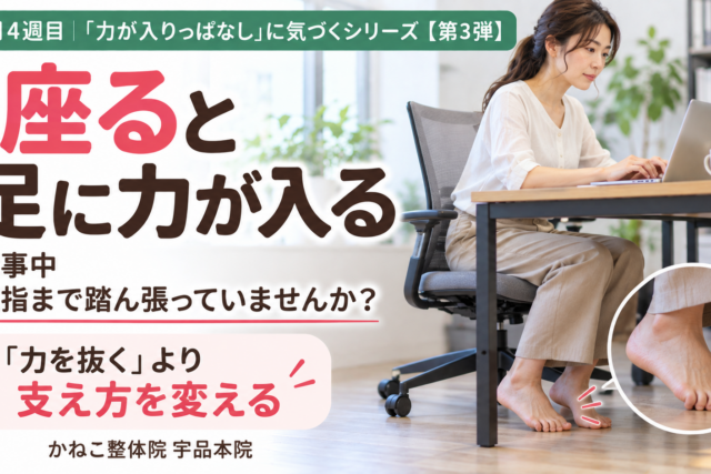 座る 足に力が入る ｜足指を曲げて踏ん張る座り方と身体の使い方｜広島市南区 かねこ整体院 宇品本院