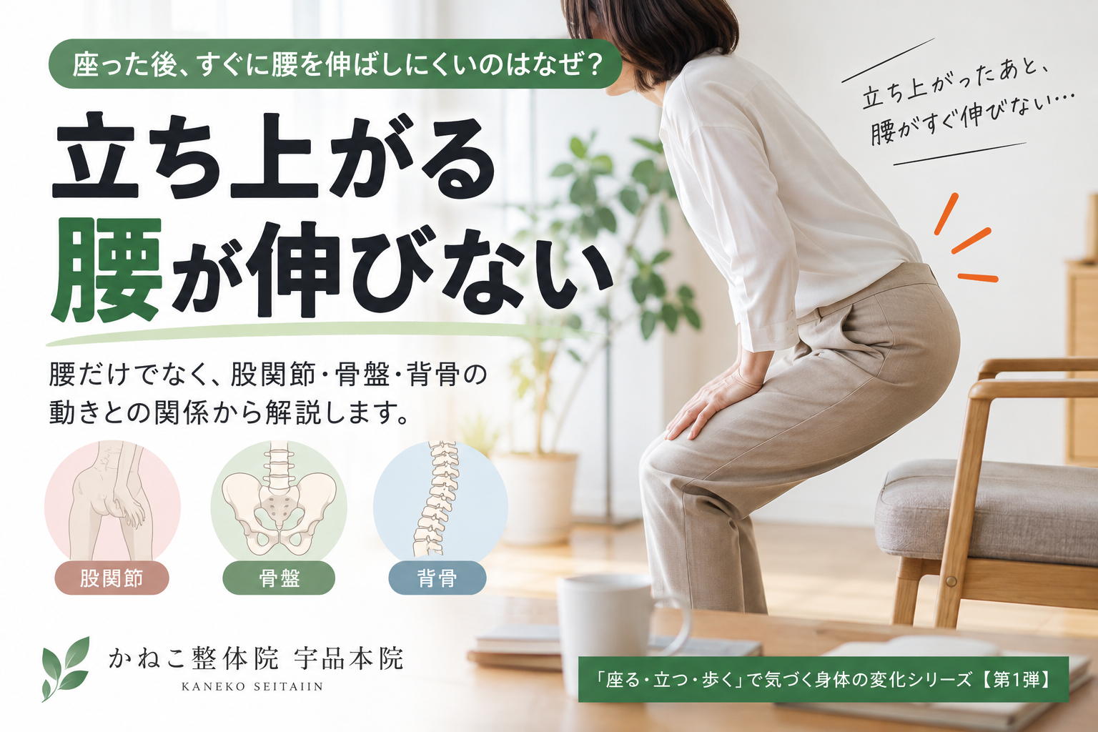 立ち上がる 腰が伸びない｜座った後に腰を伸ばしにくい理由と骨盤・股関節の関係｜広島市南区 かねこ整体院 宇品本院