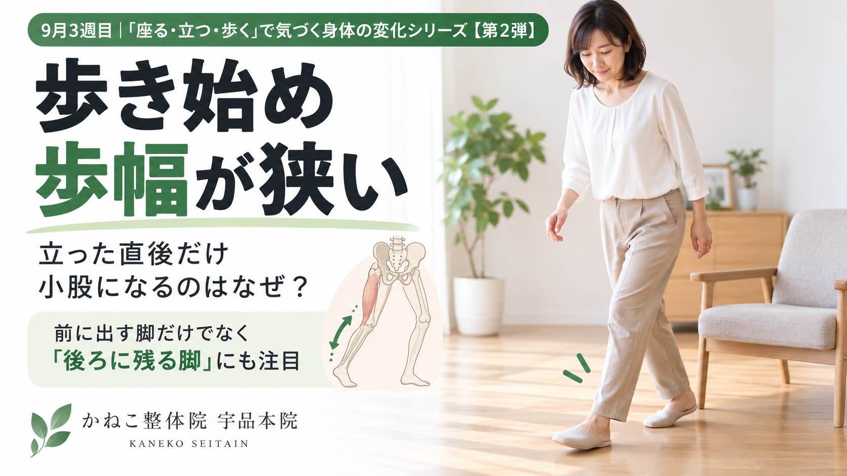 歩き始め 歩幅が狭い｜立った直後に小股になる理由と股関節・骨盤の関係｜広島市南区 かねこ整体院 宇品本院