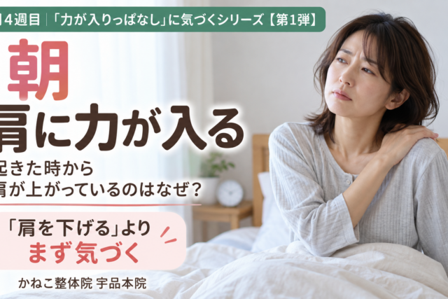 朝 肩に力が入る ｜起きた時から肩が上がる理由と呼吸・胸郭の関係｜広島市南区 かねこ整体院 宇品本院