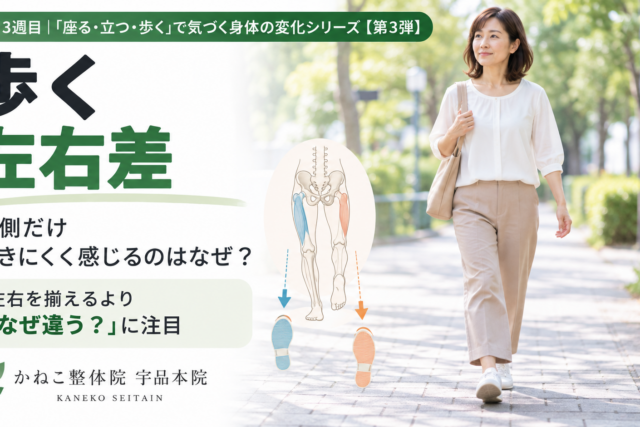 歩く 左右差｜片側だけ歩きにくく感じる理由と股関節・骨盤・背骨の関係｜広島市南区 かねこ整体院 宇品本院