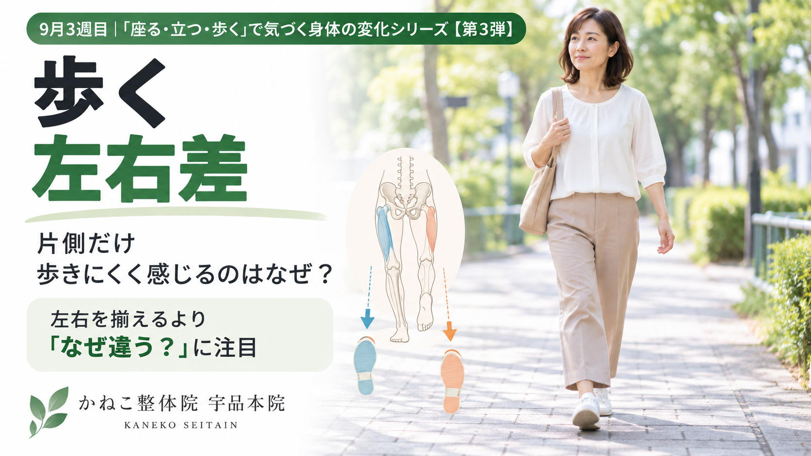歩く 左右差｜片側だけ歩きにくく感じる理由と股関節・骨盤・背骨の関係｜広島市南区 かねこ整体院 宇品本院