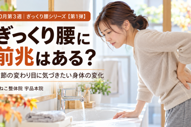 ぎっくり腰 前兆 ｜季節の変わり目に気になる腰の張りやこわばりと身体の使い方｜広島市南区 かねこ整体院 宇品本院