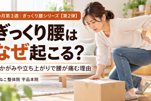 ぎっくり腰 なぜ起こる ？前かがみや立ち上がりでの腰・骨盤・股関節の動き｜広島市南区 かねこ整体院 宇品本院