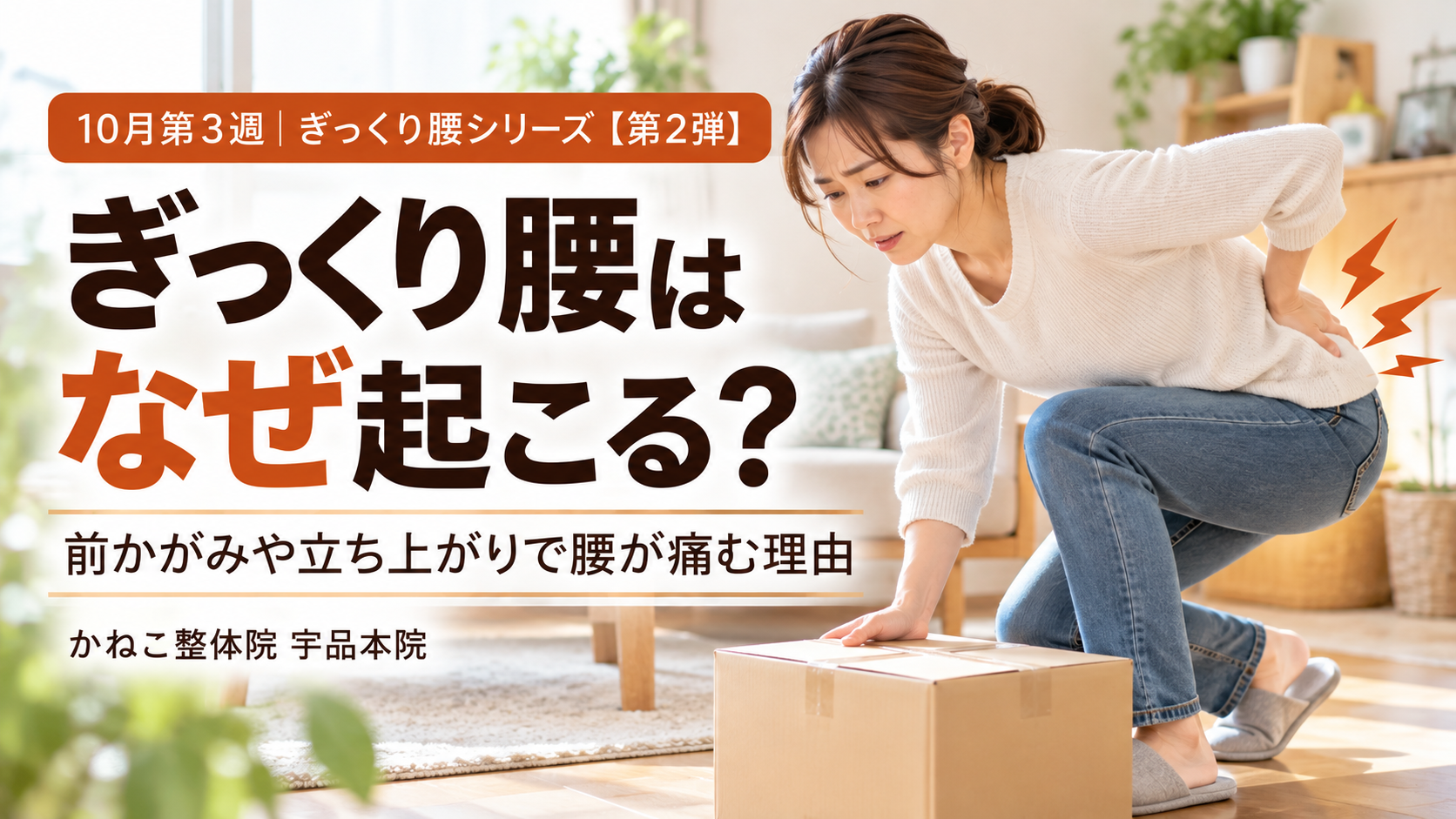 ぎっくり腰 なぜ起こる ?前かがみや立ち上がりでの腰・骨盤・股関節の動き|広島市南区 かねこ整体院 宇品本院